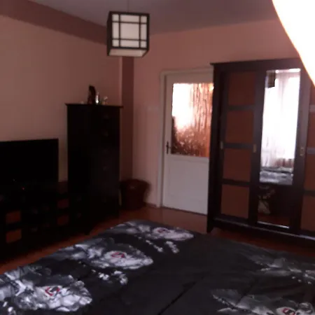 Apartment Andreea's Brasov