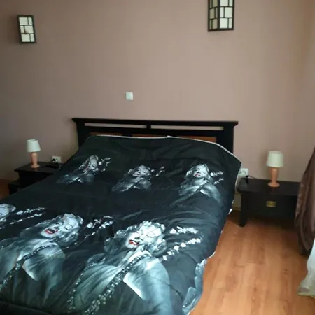 Apartment Andreea's