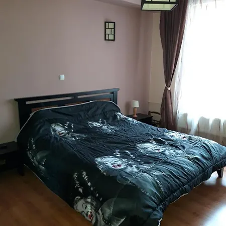 Apartment Andreea's *